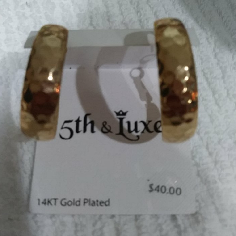 14 KT Gold Plated Earrings